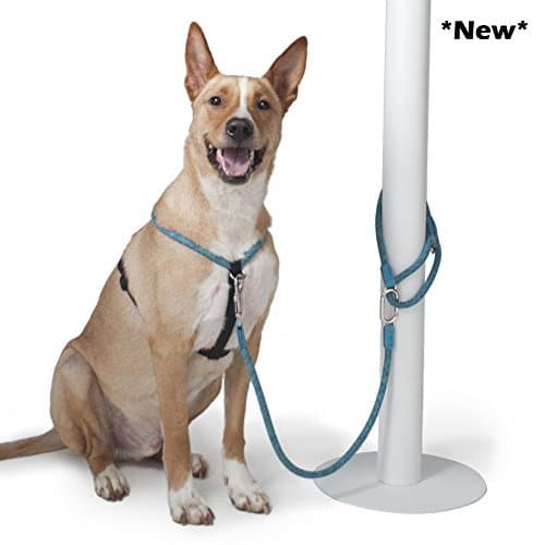 HIGH5DOGS CLIC Leash™
