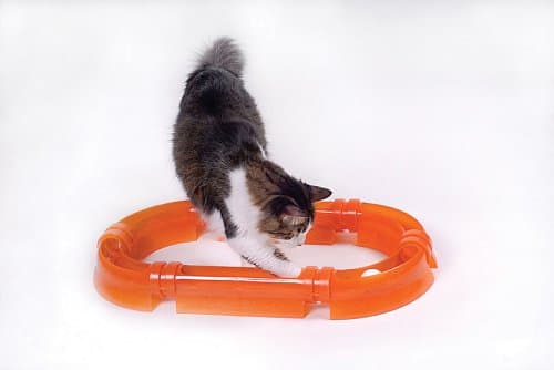 Good Pet Stuff Cat Tracks