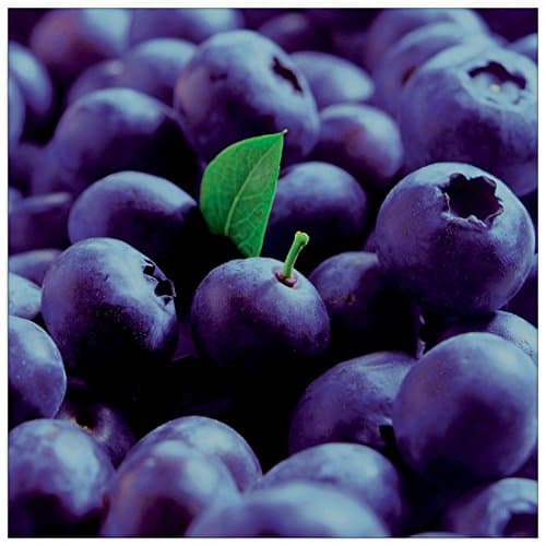 Artopweb Anonymous Mirtilli Decorative Panel, Multi-Colour