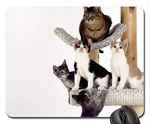 Scratch Post Mouse Pad, Mousepad (Cats Mouse Pad)