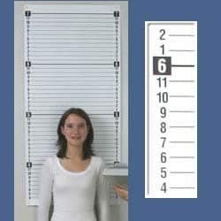 QuickMedical QM2346 Wall Mount Backdrop Chart Each, Each