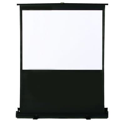 Matte White 80" Diagonal Portable Projection Screen