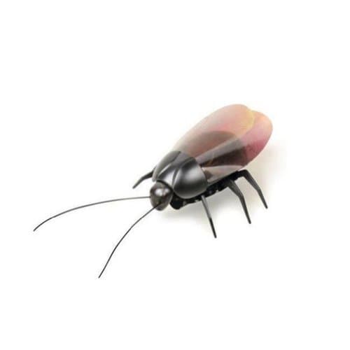 Gokiraji for iPad, iPhone Remote Control Cockroach Roach bug RC toy