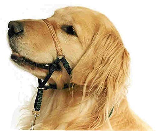 Comfort Trainer Head Halter. Stops Pulling for Ultimate Control