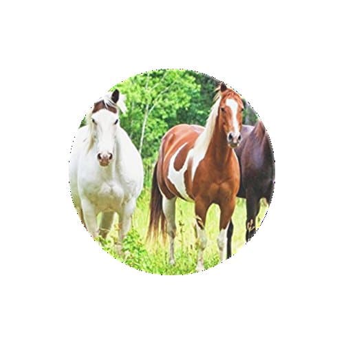 Hsenssel customized pop pattern grip socket Many Colors Holder Mount Multi-function Expanding Stand and Grip + Clip Combo Pack pop for Smartphones and Tablets (horses)
