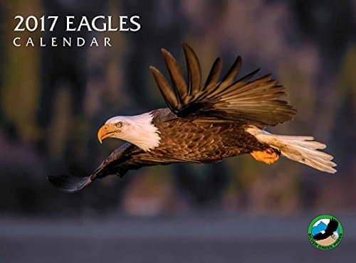 2017 Eagles Calendar
