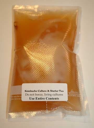 Kombucha Mushroom Culture Starter Kit, Basic