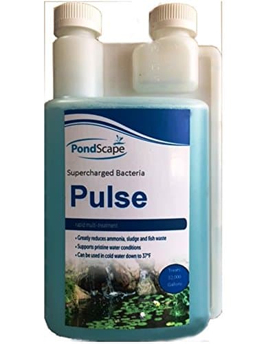 PondscapePulse Supercharged Pond Bacteria (32oz)