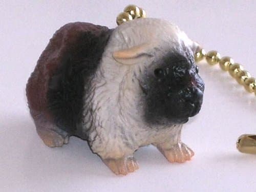 Guinea Pig Ceiling Fan Light Pull Chain