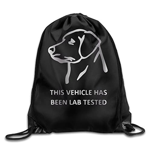 Outdoor Labrador IPad Platinum Style Drawstring Backpack