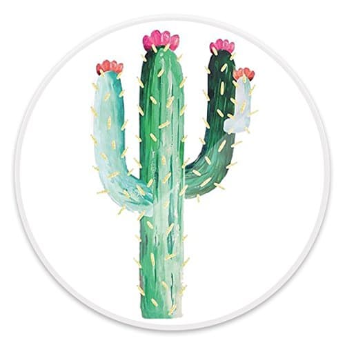 Multi-Function Mounts and Stands, Expanding Stand Grip Pop Mount Socket for Smartphones, iPhone and Tablets - Cactus