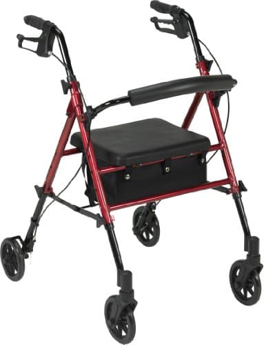 Adjustable Height Rollator, 6" Casters RTL10261RD