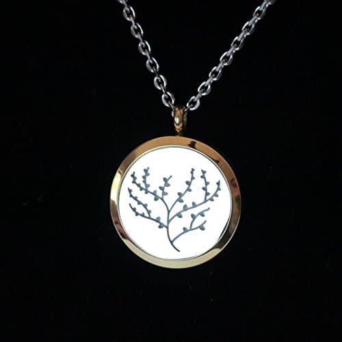 Aromatherapy/Perfume Necklace With Gold Plated Diffusing Locket. Hypo-Allergenic, 316L Surgical Grade Stainless Steel. Includes 24" Chain &amp; 4 Washable Refill Pads.