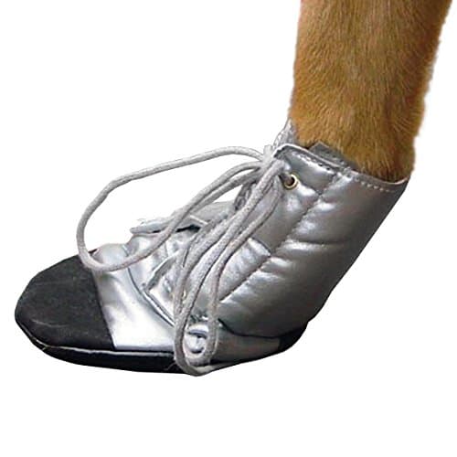 Beeztees Protective Shoe