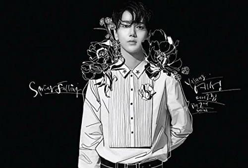 Spring Falling: Limited Edition