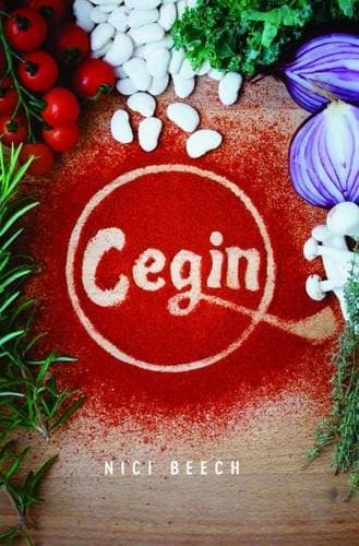 Cegin (Welsh) Hardcover – 24 Oct 2016