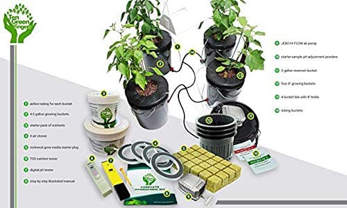 Ever Pest Plug New Today