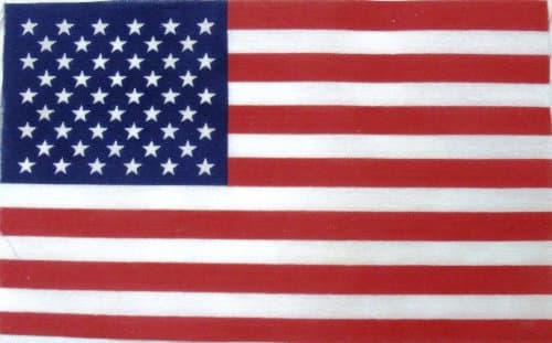 24 Pack - 12"x8" US Flags