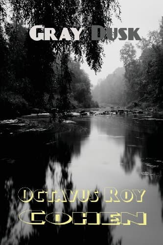 Gray Dusk Paperback – Import, 10 Jun 2013