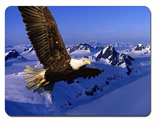 Snowy Eagle background Pattern Soft Silicone Durable Optical Computer Mouse Mat Rectangular Pads RB0036