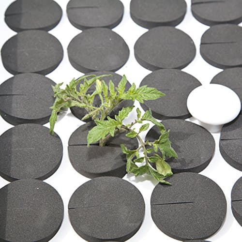 CLONE KING64 Site White Replacement Lid