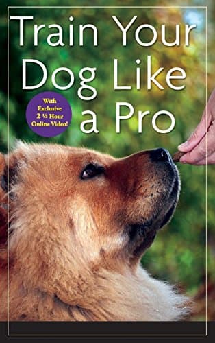 Train Your Dog Like a Pro