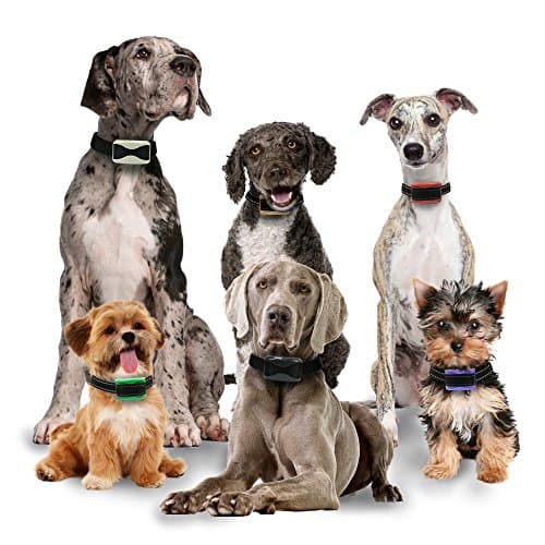 Small / Medium / Large Dog Training Collars with 800 Yards Range Remote Rechargeable Electric Dog Collar Rainproof or Waterproof with Ultrasonic Lights, Vibration, Beep &amp; Shock All Dogs By Our K9 …