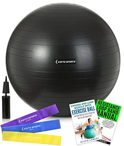 Exercise Ball – 75 cm Stability Ball with Hand Pump, Exercise E-Book and Bonus Resistance Loop Bands for Yoga, Pilates and Core Training