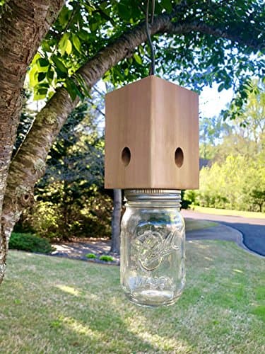 Wood Something Solid Cedar Carpenter Bee Trap - Catcher -Standard