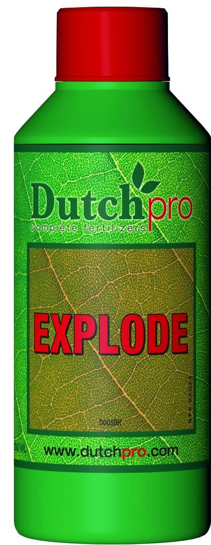 Dutchpro Explode 250ml