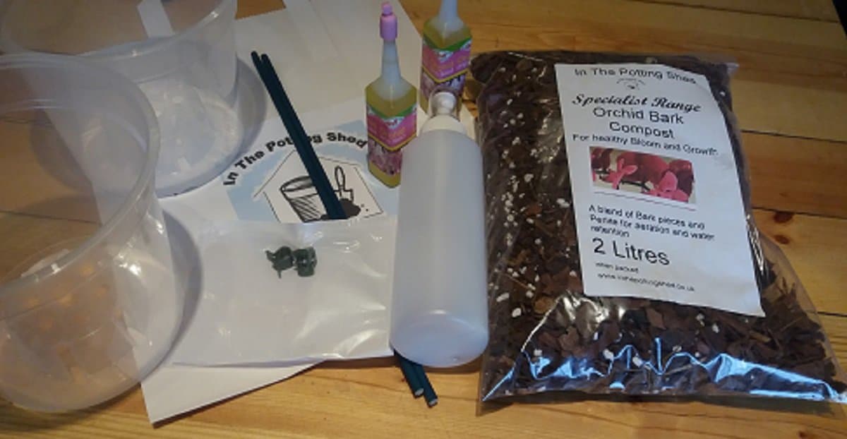 Orchid Complete Care