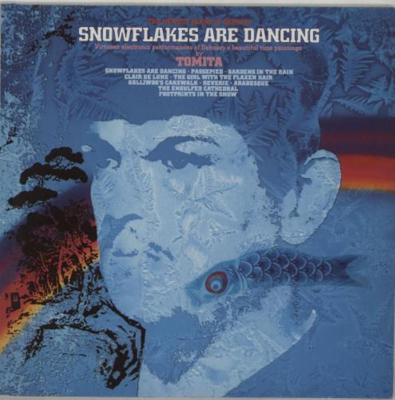 snowflakes are dancing LP