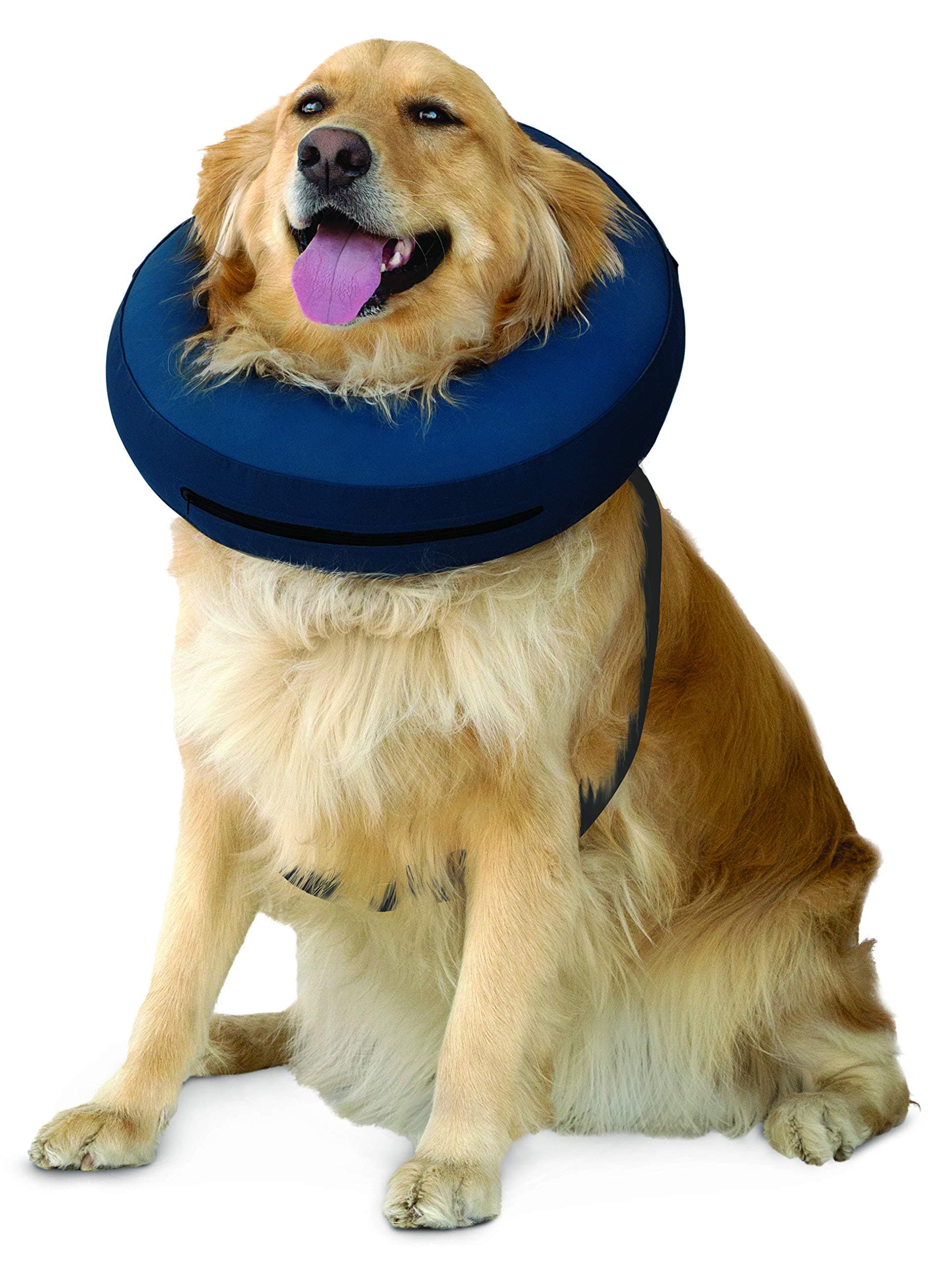 Calm Paws Protective Collar (Box), Large