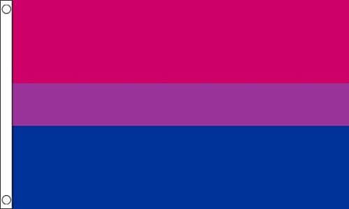 Bi-Pride Flag 5ft x 3ft