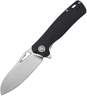 Petrified fish PF868 Folding Knife 3.35" D 2 Satin Blade Steel G 10 Handle EDC Outdoor Camping Pocket Folding Knife (Black G10)