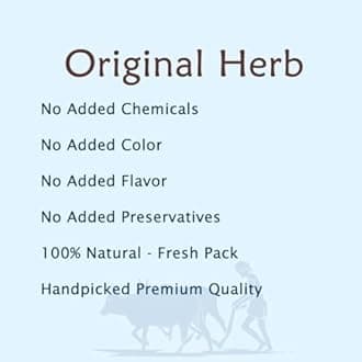 Sat Podina - Menthol Crystal - Peppermint - Sat Pudina - 500 Gram