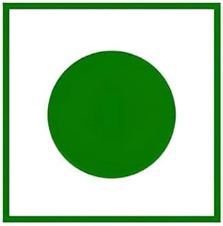 Avenn Roasted Salted Peanuts Seed (Bharuch Gujarat Special) Mungfali Dana | Namkeen (Skin Removed) | Diwali Festival Celebration | Gift Hamper Pack for Family, Friends, Office (With Skin, 400 GM)