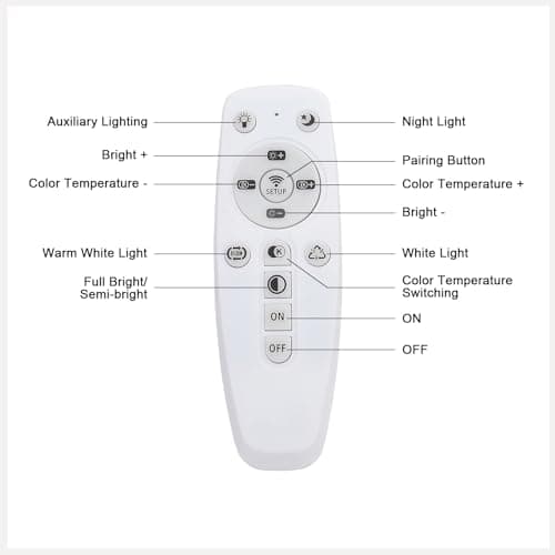 Crystal Ceiling Light