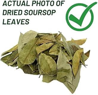 Soursop Leaves, Graviola Soursop Dried, 100% Natural and Handpicked Freshly Dried Soursop