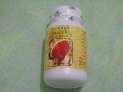 Excellium 90 Capsule Ganoderma by Gano Excel