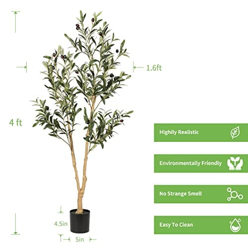 Olive Tree