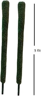 Bhajanlal Greenery Moss Grass Stick for Climbing Money Plant, Indoor and Outdoor Plants, Support (2 Foot) -Set of 2
