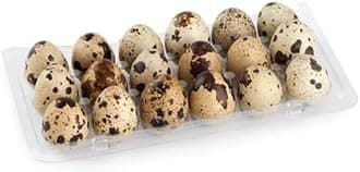 DSPetSupplies Fresh Quail Eggs (18)