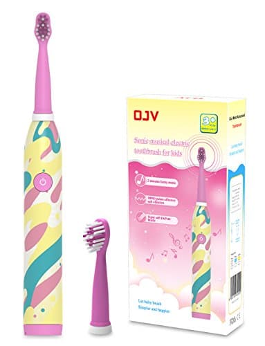 Rechargeable Electric Toothbrush