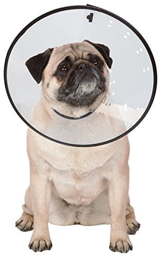Elizabethan Collars — Durable Plastic Collars that Keep Pets from Licking Wounded Areas - Small, Clear