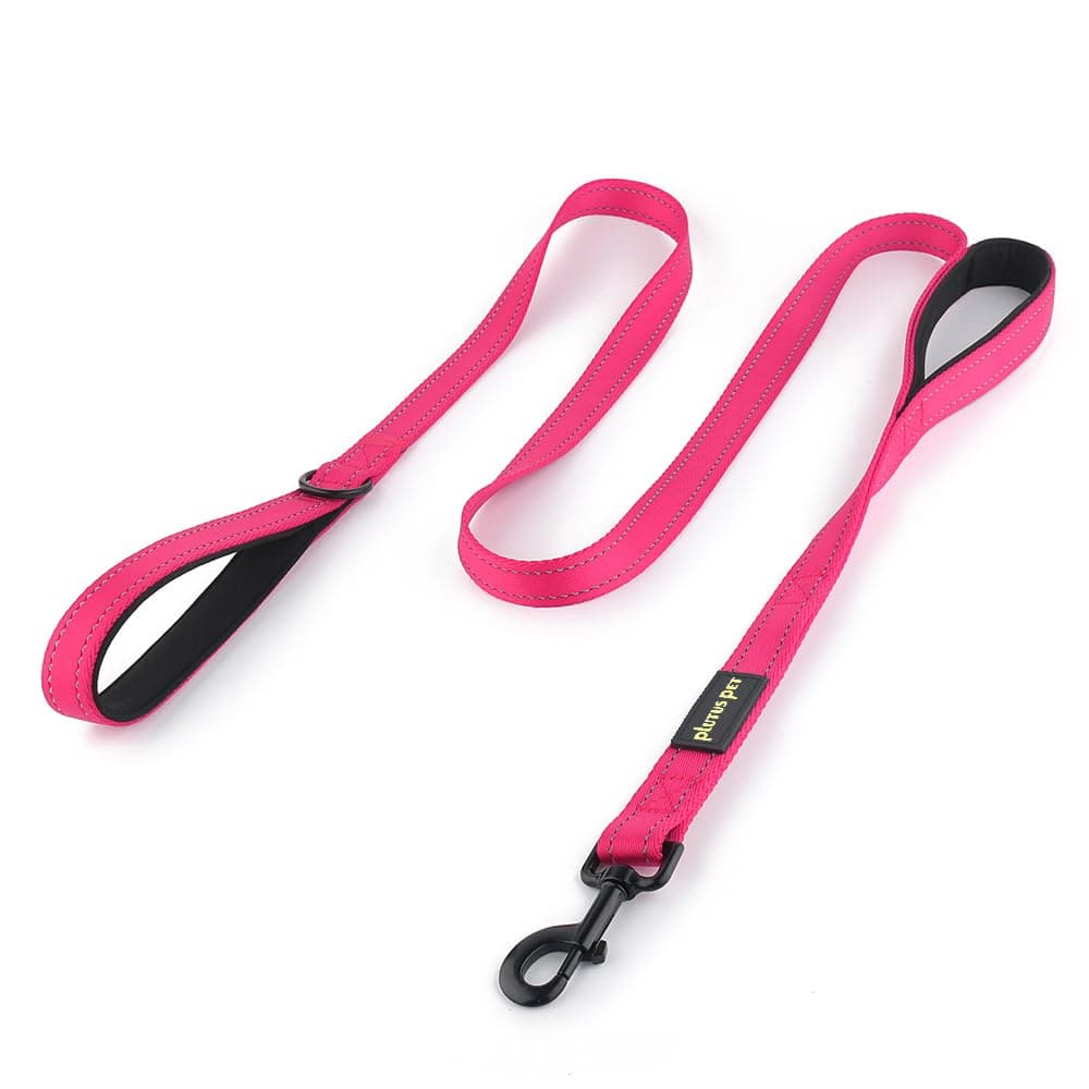 dual handle dog leash