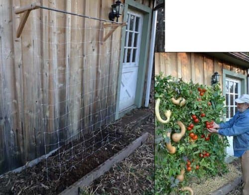 Skyscraper Garden Trellis