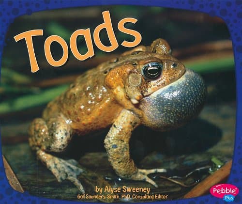 Toads (Pebble Plus: Amphibians)