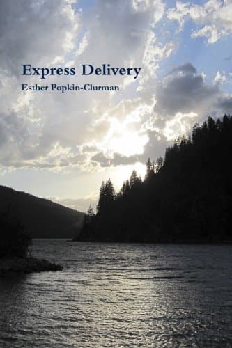 Express Delivery: A Novel