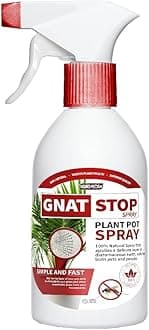 Gnat Stop Spray – Natural Gnat Control with Diatomaceous Earth (500ml)